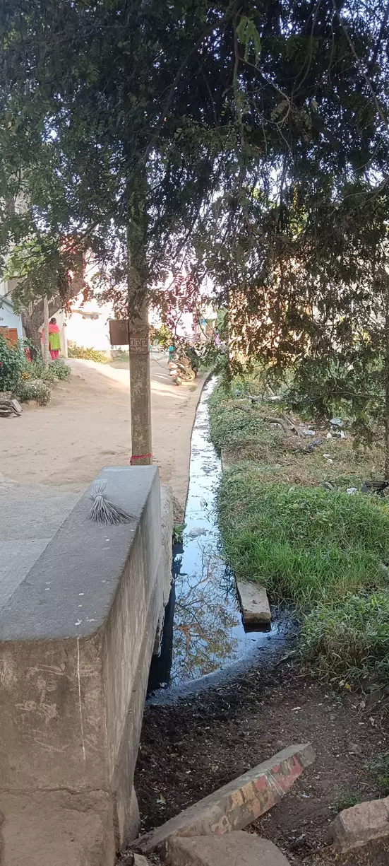 கால்வாயில் தேங்கும் கழிவுநீர்