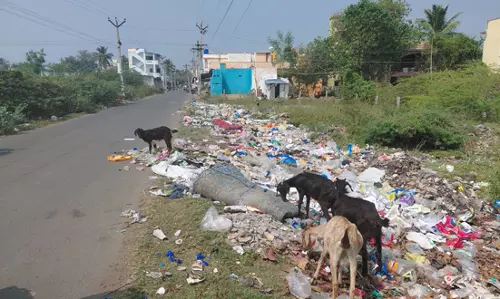 சாலையோரம் கொட்டப்படும் குப்பைகள்