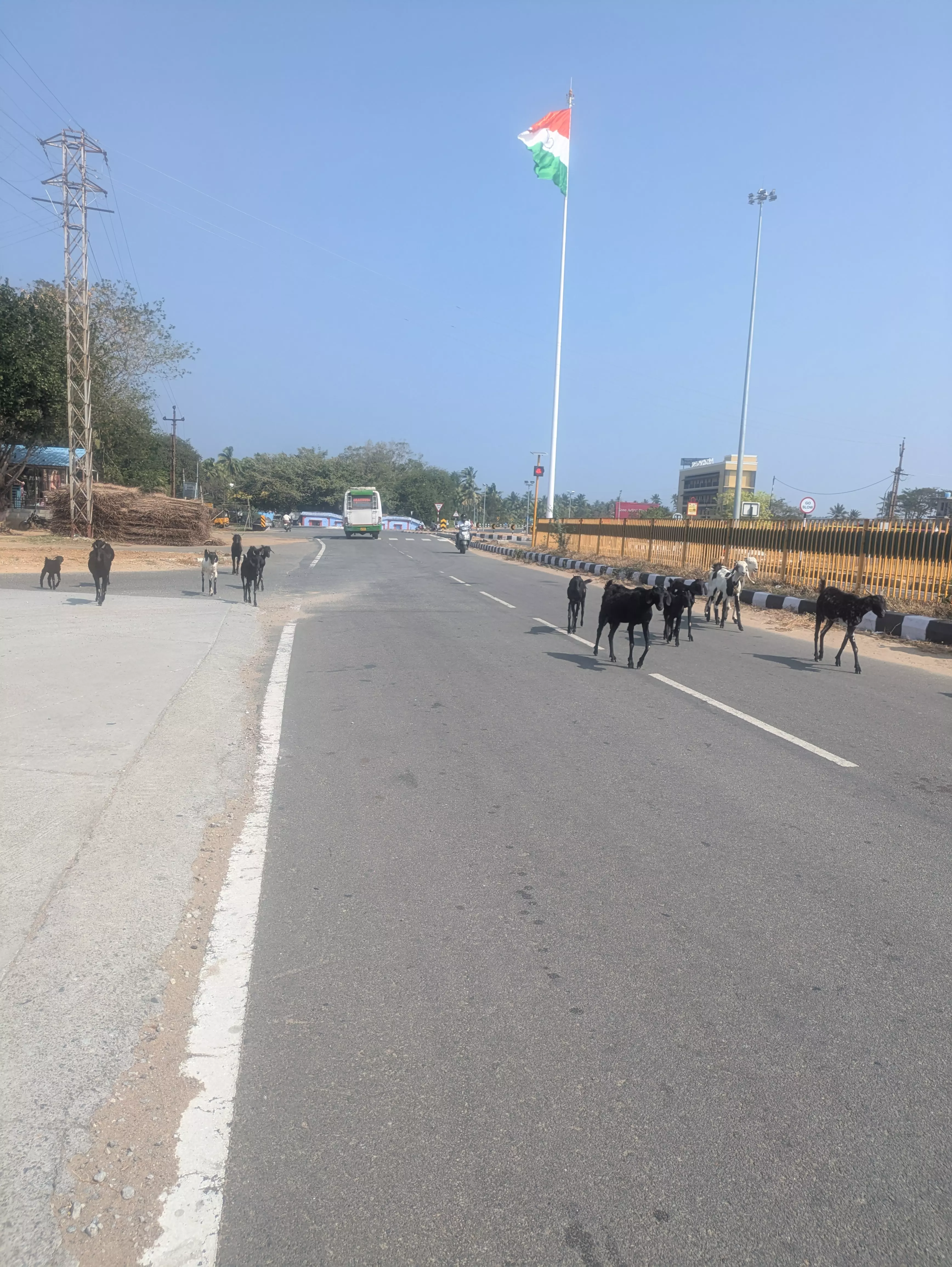 நடவடிக்கை எடுக்க வேண்டும்