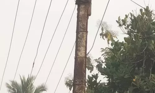 எலும்புக்கூடான மின்கம்பம்