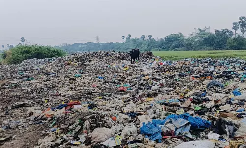 குப்பைமேடான ஏரி