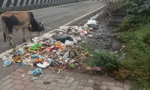 சாலையில் வீசப்படும் குப்பைகள்