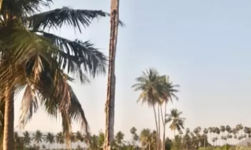 சேதமடைந்த மின்கம்பம்