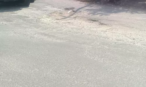 சீரமைக்க வேண்டும்