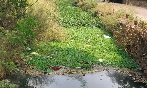 கால்வாய் தூர்வாரப்படுமா?