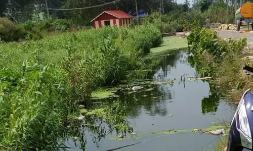 கால்வாயில் தேங்கும் கழிவுநீர்