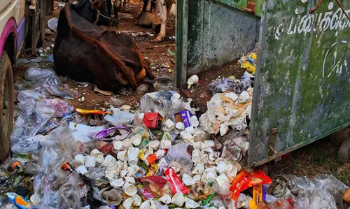 சுகாதார சீர்கேடு சுகாதார சீர்கேடு