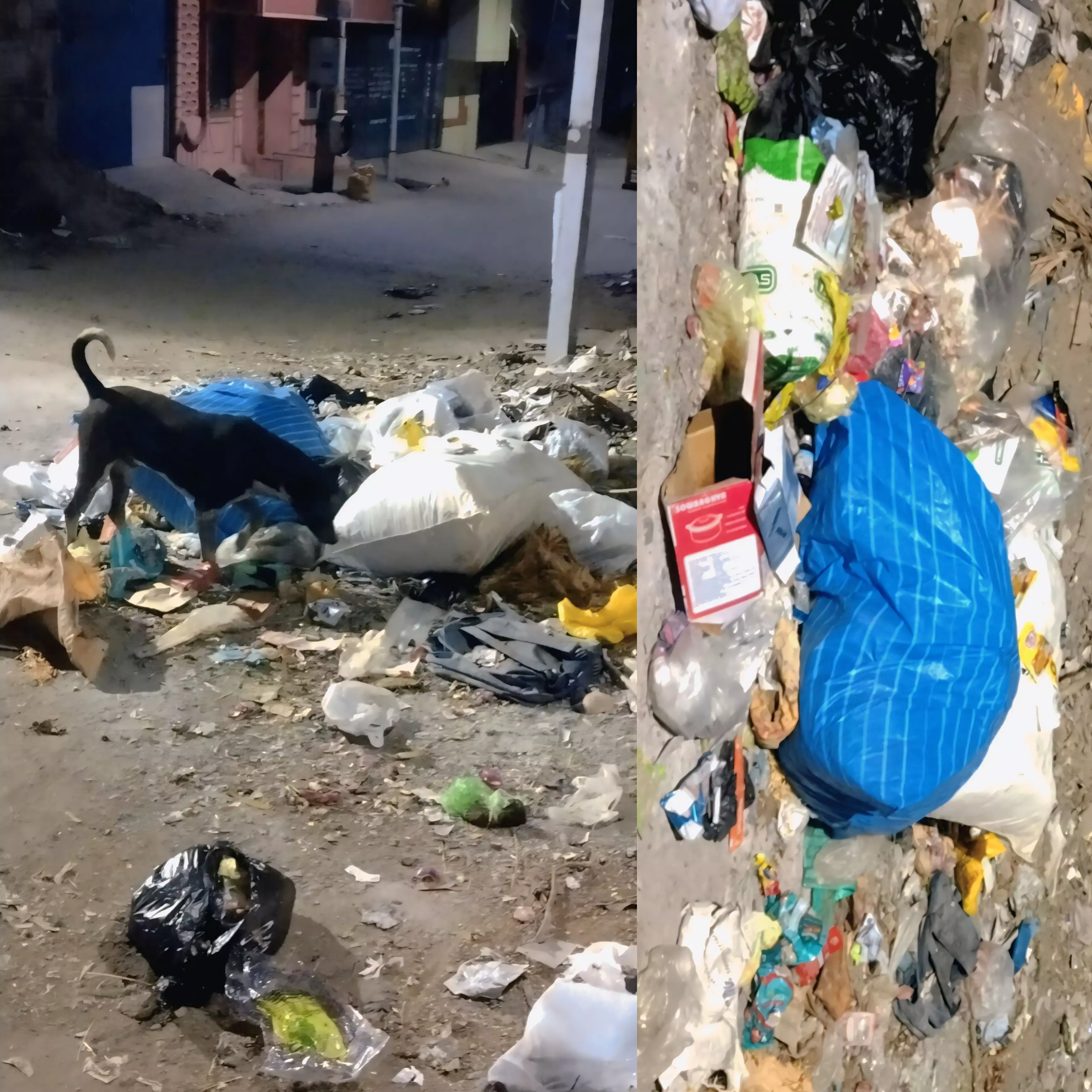 குப்பைகளை அகற்றுவார்களா? குப்பைகளை அகற்றுவார்களா?