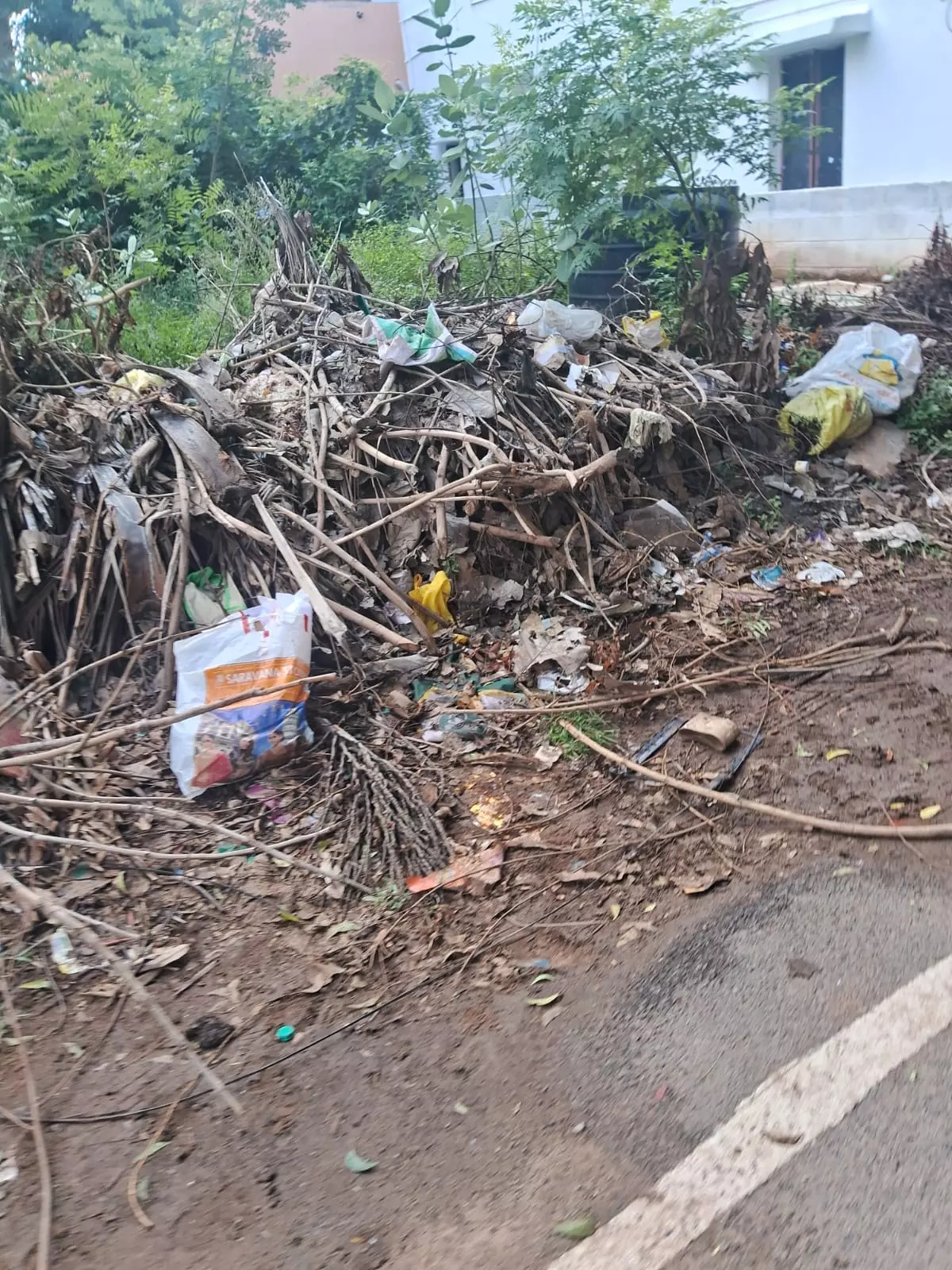 குப்பகைள் தேக்கம் குப்பகைள் தேக்கம்