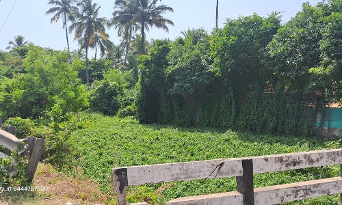 தூர்வார வேண்டும் தூர்வார வேண்டும்