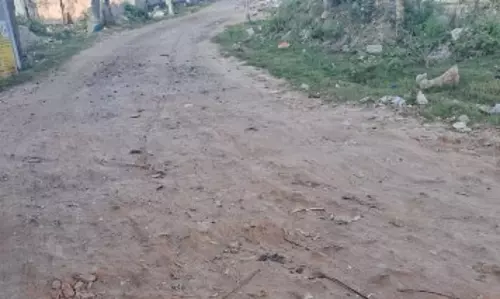 தார் சாலை வேண்டும் தார் சாலை வேண்டும்