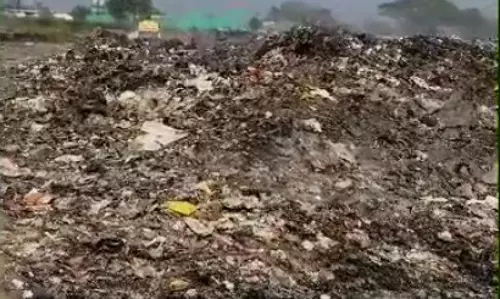 குப்பைக்கூடமாக மாறும் கால்வாய் குப்பைக்கூடமாக மாறும் கால்வாய்