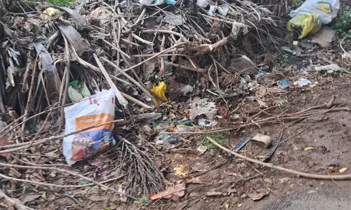 குப்பைகள் தேக்கம்