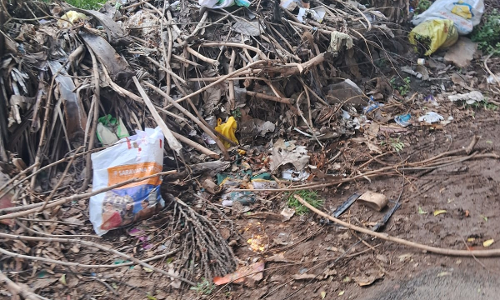 குப்பகைள் தேக்கம்