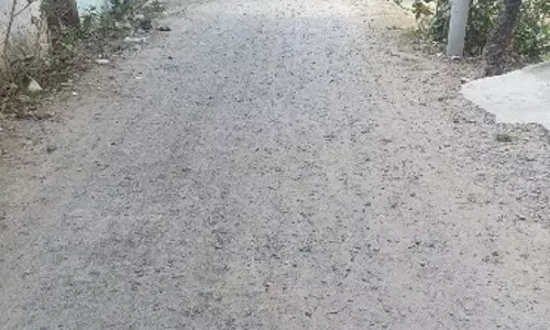 சாலை அமைக்கப்படுமா?