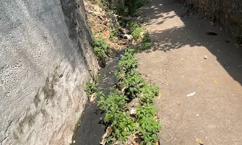 நடவடிக்கை எடுக்கப்படுமா? நடவடிக்கை எடுக்கப்படுமா?