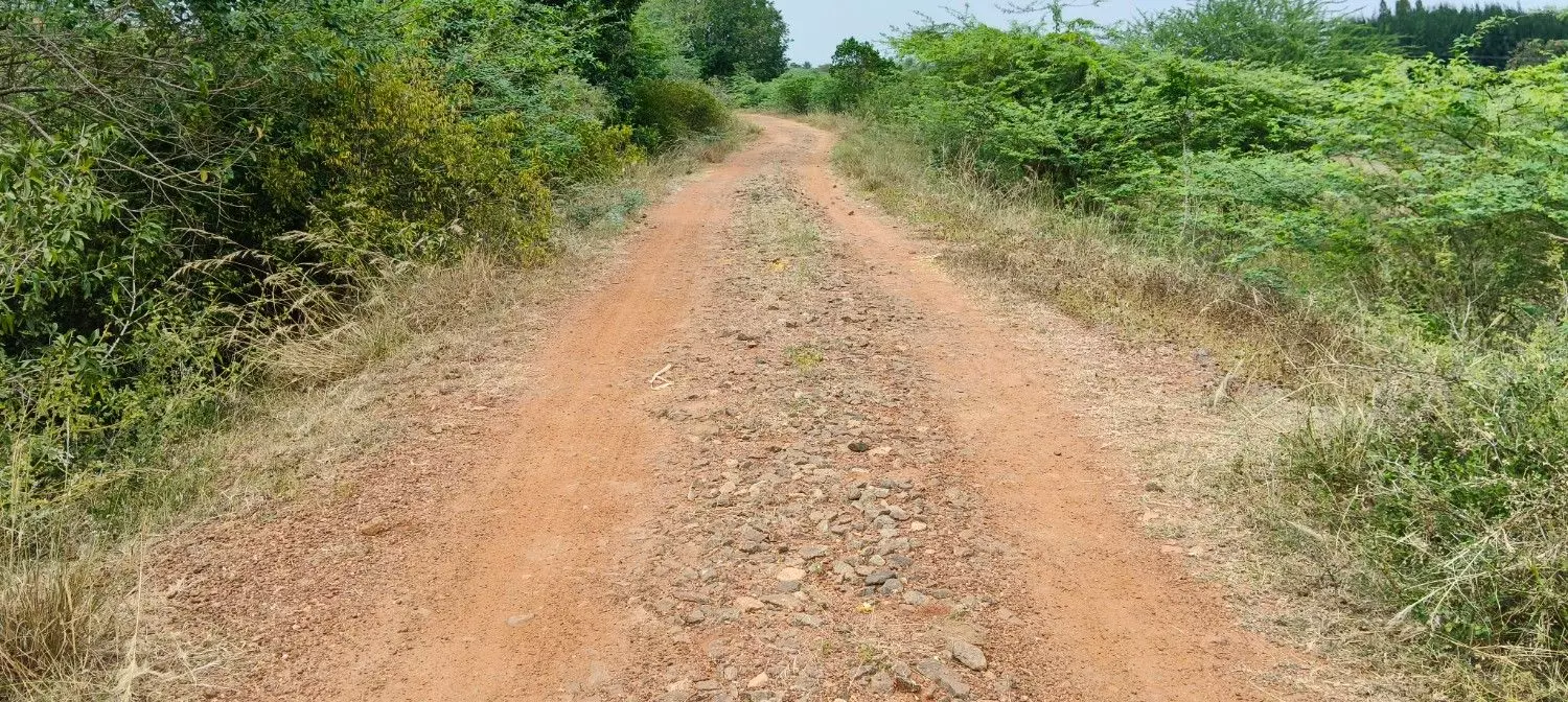 சாலை சீரமைக்கப்படுமா? சாலை சீரமைக்கப்படுமா?