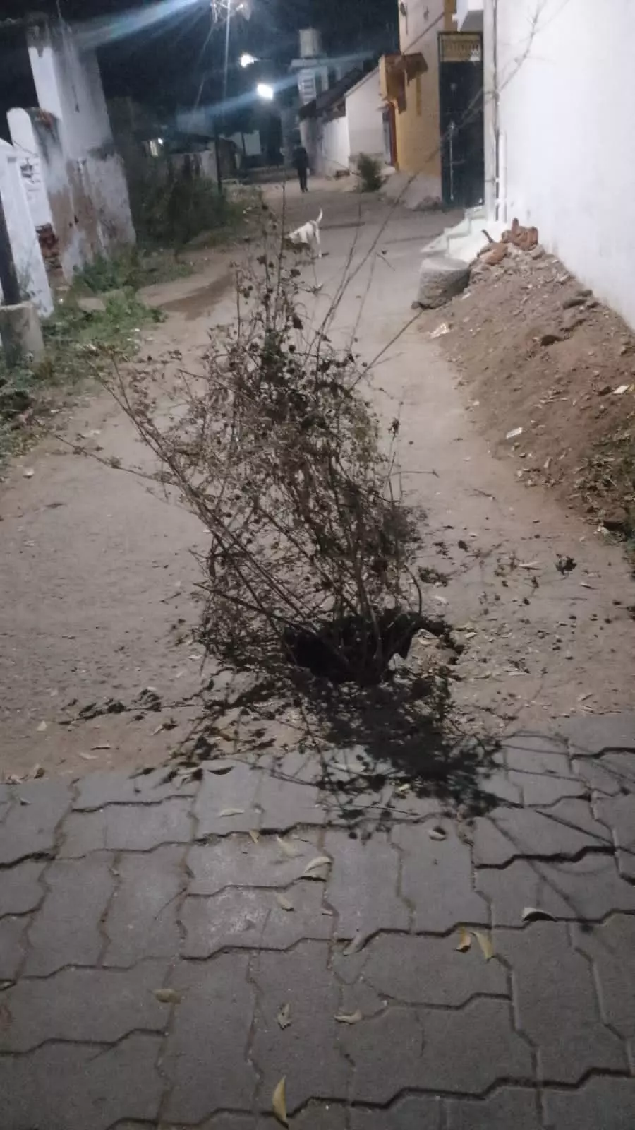 பள்ளத்தால் தெருவாசிகள் அவதி