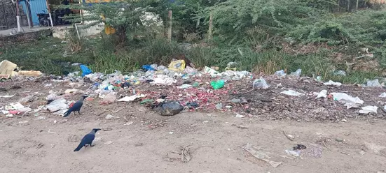 குப்பைகளை அகற்றுவார்களா?