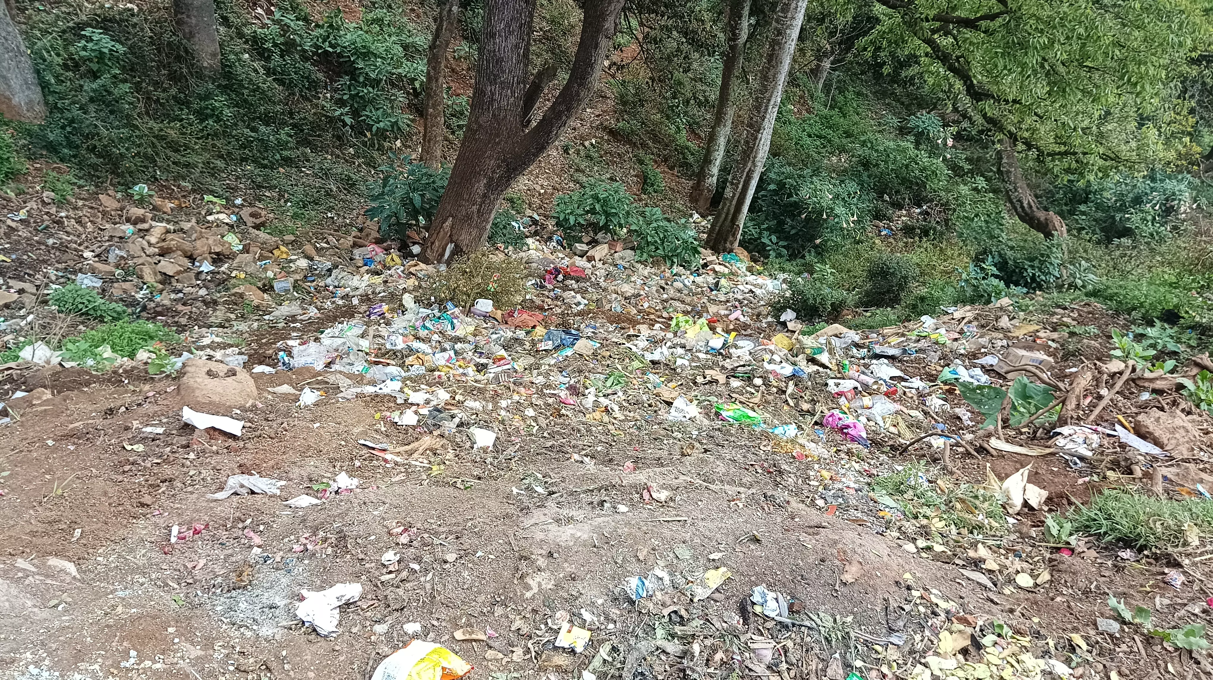 பிளாஸ்டிக் கழிவுகள்