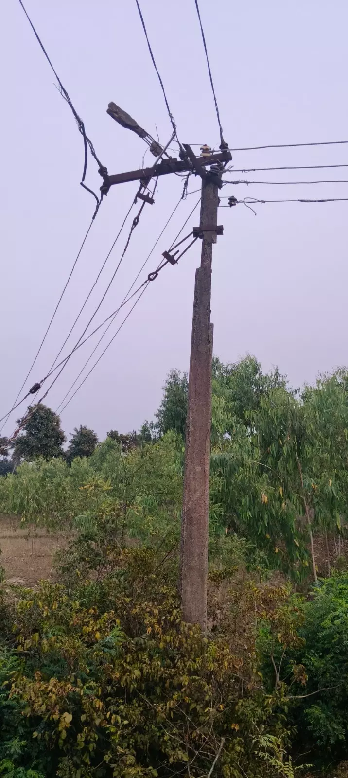 மின்கம்பங்களை மாற்றியமைக்க கோரிக்கை மின்கம்பங்களை மாற்றியமைக்க கோரிக்கை