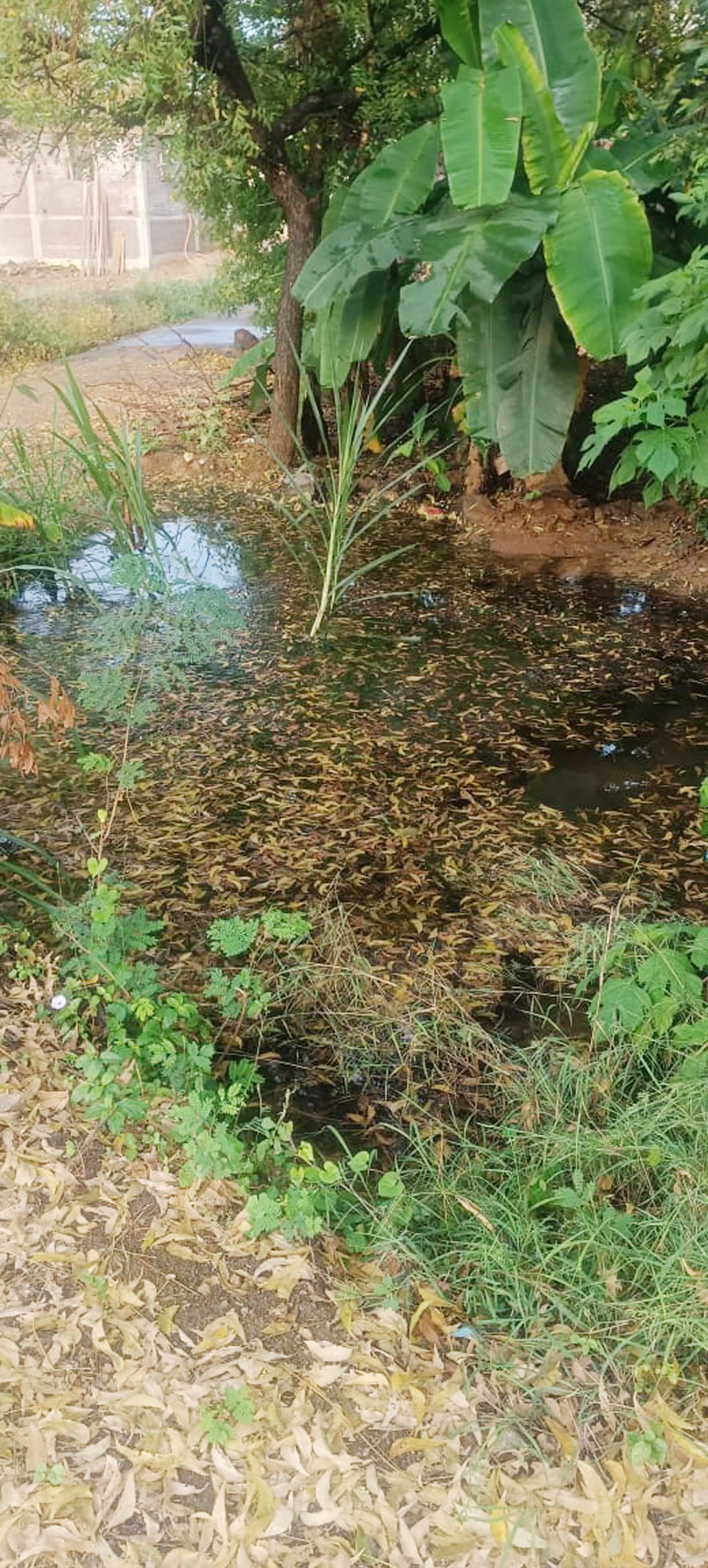 குடிநீர் குழாய் உடைப்பு குடிநீர் குழாய் உடைப்பு