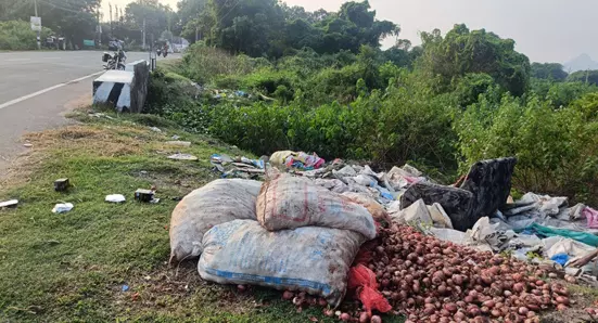 ஏரிக்கரையோரம் கோழிக்கழிவுகள் வீச்சு ஏரிக்கரையோரம் கோழிக்கழிவுகள் வீச்சு