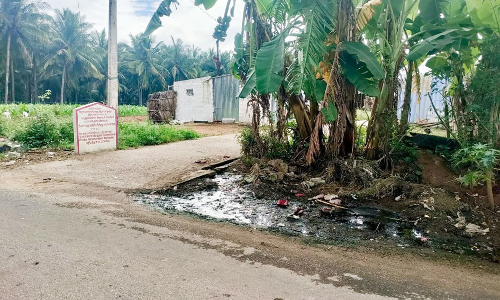 சாலையோரம் தேங்கி நிற்கும் கழிவு நீர் சாலையோரம் தேங்கி நிற்கும் கழிவு நீர்