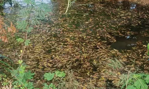 குடிநீர் குழாய் உடைப்பு குடிநீர் குழாய் உடைப்பு