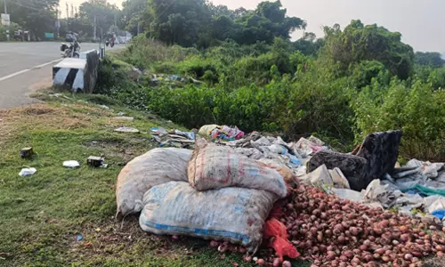 ஏரிக்கரையோரம் கோழிக்கழிவுகள் வீச்சு