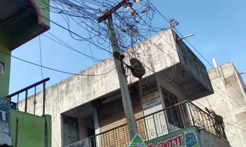 குரங்குகளைபிடிக்க வேண்டும் குரங்குகளைபிடிக்க வேண்டும்