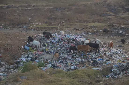 பாலாற்றில் வீசப்படும் பிளாஸ்டிக் கழிவுகள் பாலாற்றில் வீசப்படும் பிளாஸ்டிக் கழிவுகள்