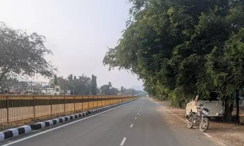 மரக்கிளையை அகற்ற வேண்டும்