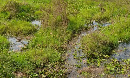 குளம் சீரமைக்கப்படுமா?