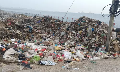 சாலையில் கொட்டப்படும் குப்பைகள்