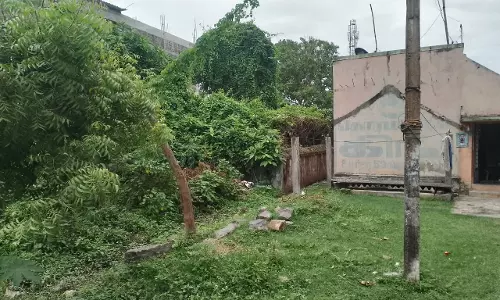 ஆக்கிரமித்த செடி, கொடிகள்