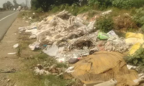 சாலையோரங்களில் கொட்டப்படும் குப்பைகள்