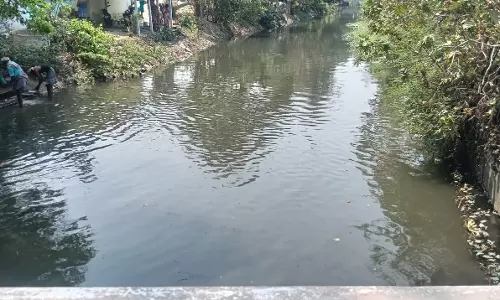 ஆகாயத்தாமரைகள் அகற்றப்படுமா?