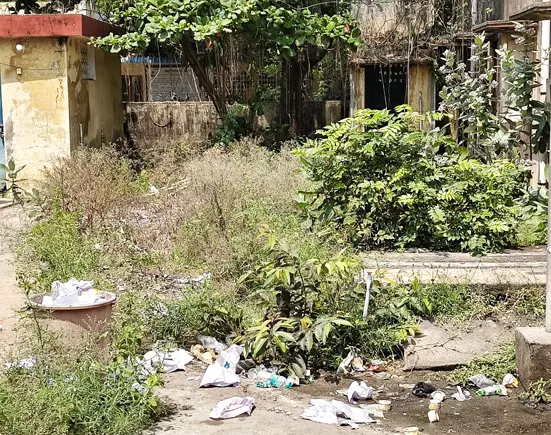 தாலுகா அலுவலகத்தில் விஷ பூச்சிகள் நடமாட்டம் தாலுகா அலுவலகத்தில் விஷ பூச்சிகள் நடமாட்டம்