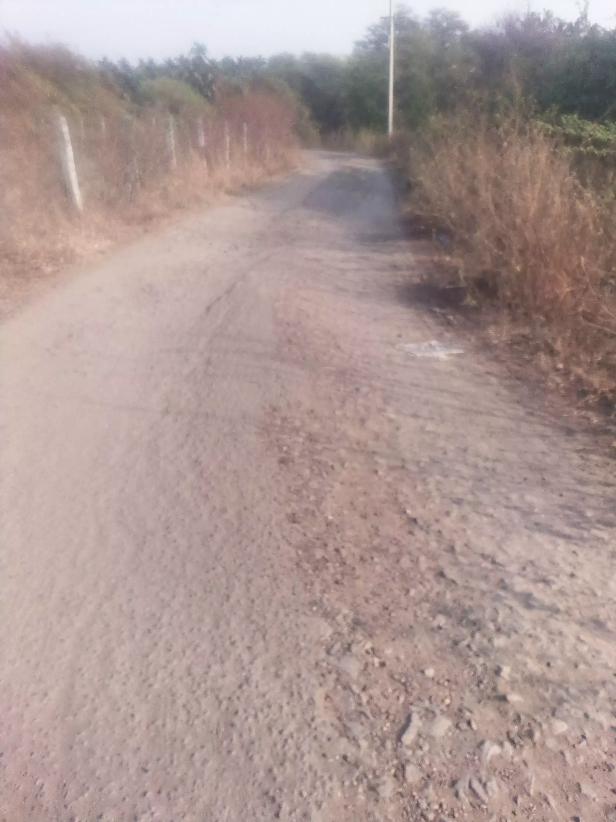 சாலை சீரமைக்கப்படுமா?