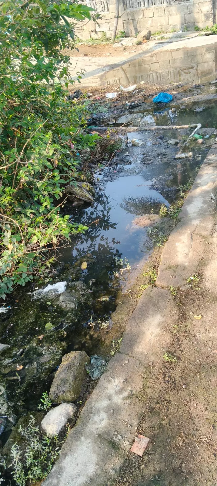 கழிவுநீர் கால்வாய் சரிசெய்யப்படுமா? கழிவுநீர் கால்வாய் சரிசெய்யப்படுமா?