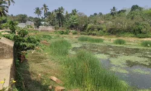 குளத்தை சீரமைக்க வேண்டும்