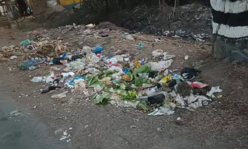 சாலையோரம் குவிக்கப்படும் குப்பைகள்