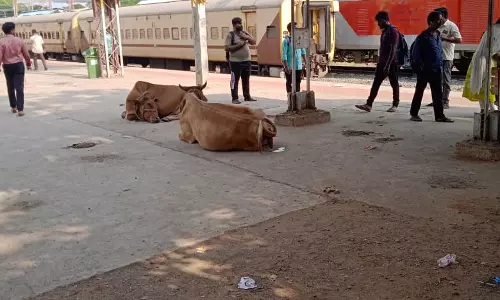 தொழுவமாக மாறிவரும் ரெயில் நிலையம்