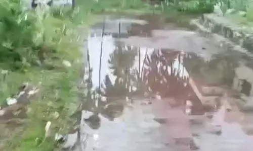 தூர்வாரப்படுமா?