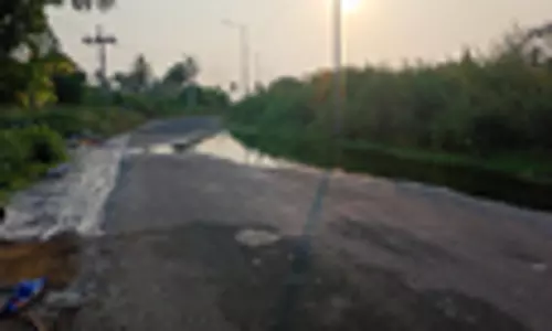 வீணாகும் குடிநீர் வீணாகும் குடிநீர்