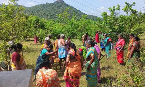 குட்டையை முறையாக தூர்வார வேண்டும்