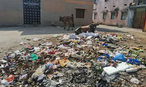 பள்ளி முன்பு குவிந்து கிடக்கும் குப்பைகள்