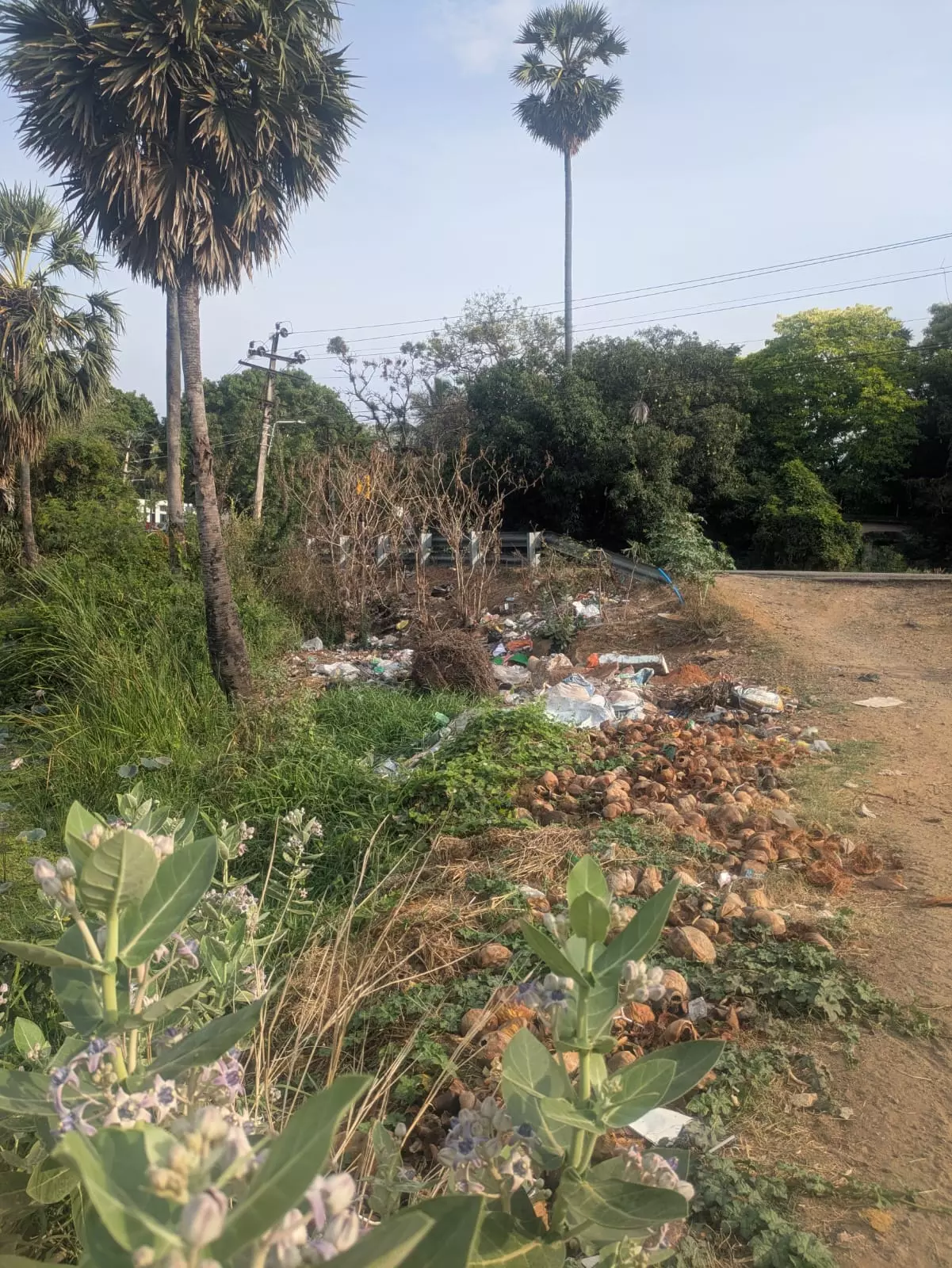 சுகாதார சீர்கேடு சுகாதார சீர்கேடு