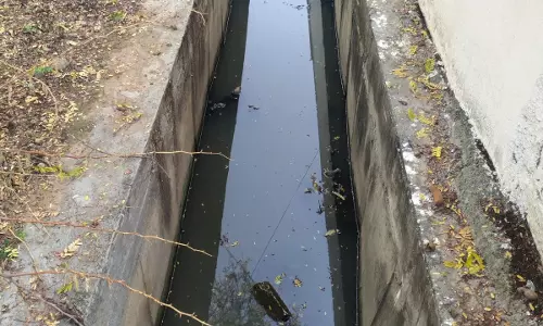 தூர்வாரப்படாத சாக்கடை கால்வாய்